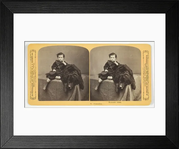 Framed Print : Protection, 1870 / 89. Creator: Henry Hamilton Bennett Framed Print : Protection, 1870 / 89. Creator: Henry Hamilton Bennett