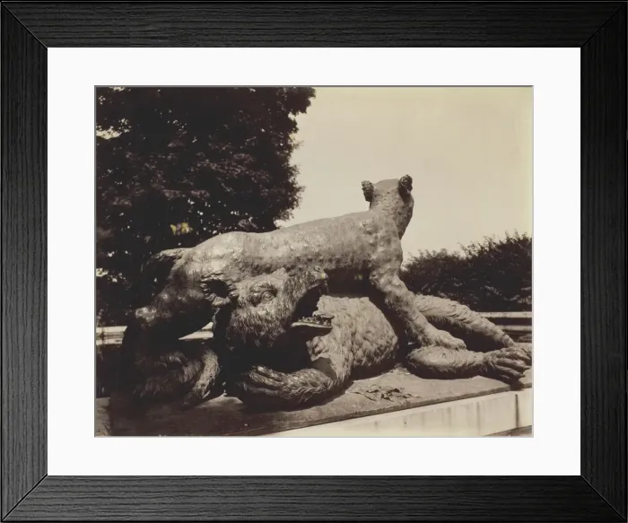 Framed Print : Versailles, Fontaine du Point du Jour, (Tigre Terrassant un Ours par Houzeau), 1903. Creator: Eugene Atget Framed Print : Versailles, Fontaine du Point du Jour, (Tigre Terrassant un Ours par Houzeau), 1903. Creator: Eugene Atget