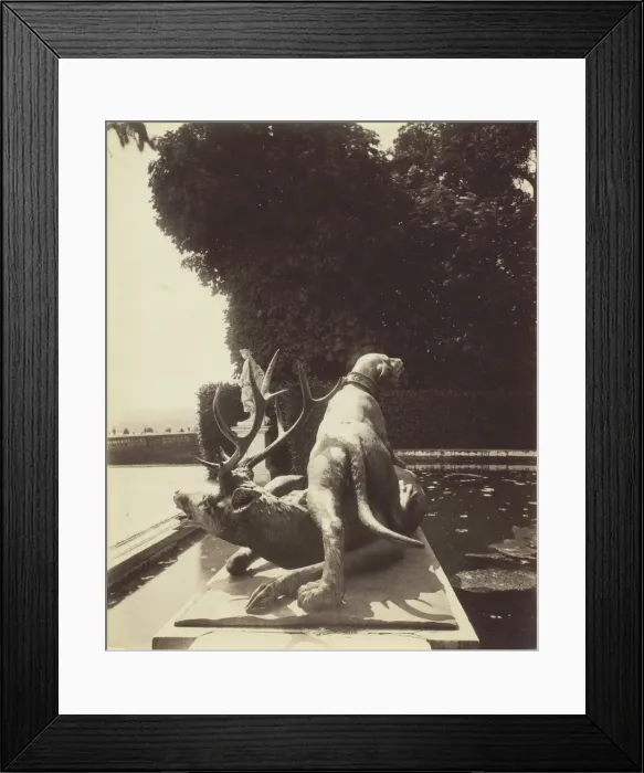 Framed Print : Versailles, Fontaine de Point du Jour, (Limier Abattant un Cerf par Houzeau), 1903. Creator: Eugene Atget Framed Print : Versailles, Fontaine de Point du Jour, (Limier Abattant un Cerf par Houzeau), 1903. Creator: Eugene Atget