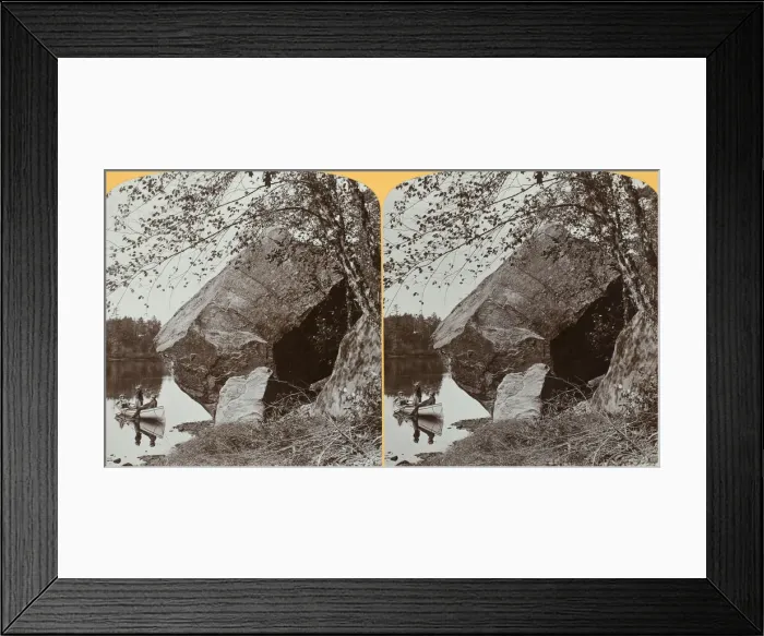 Framed Print : Devils Foot Ball near the Deep Fill, 1903. Creator: Henry Hamilton Bennett Framed Print : Devils Foot Ball near the Deep Fill, 1903. Creator: Henry Hamilton Bennett