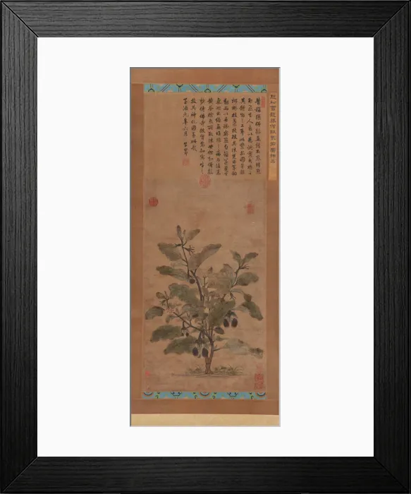 Framed Print : Eggplant, Ming dynasty, 1368-1644. Creator: Unknown Framed Print : Eggplant, Ming dynasty, 1368-1644. Creator: Unknown