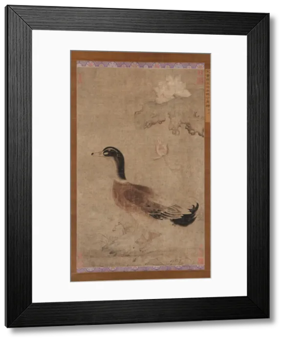Framed Print : Drake and lotus flowers, Yuan dynasty, 1279-1368. Creator: Unknown Framed Print : Drake and lotus flowers, Yuan dynasty, 1279-1368. Creator: Unknown