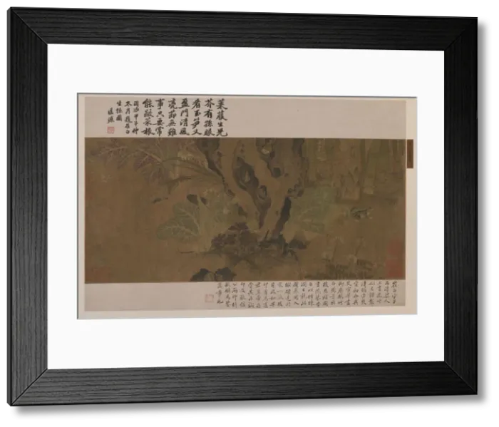 Framed Print : Bamboo, frog, and insects, Ming dynasty, 1368-1644. Creator: Unknown Framed Print : Bamboo, frog, and insects, Ming dynasty, 1368-1644. Creator: Unknown