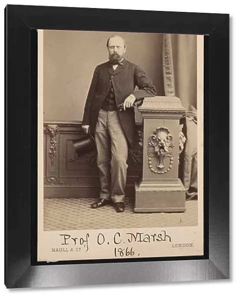 Portrait of Othniel Charles Marsh (1831-1879), 1866. Creator: Maull & Co