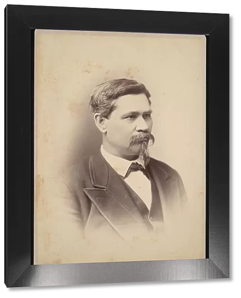 Portrait of Orlando Metcalfe Poe (1832-1895), October 31, 1883