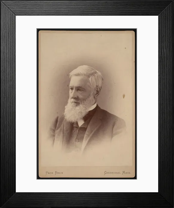Framed Print : Portrait of Asa Gray (1810-1888), March 1887. Creator: Pach Bros Framed Print : Portrait of Asa Gray (1810-1888), March 1887. Creator: Pach Bros