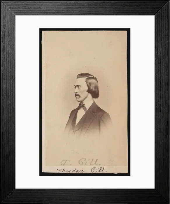 Framed Print : Portrait of Theodore Nicholas Gill (1837-1914), Between 1865 and 1870