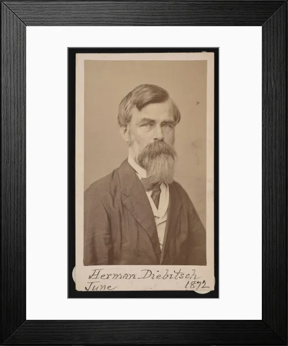 Framed Print : Portrait of Herman Henry Diebitsch (1818-1883), 1871. Creator: Henry Ulke Framed Print : Portrait of Herman Henry Diebitsch (1818-1883), 1871. Creator: Henry Ulke
