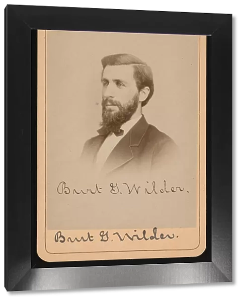 Portrait of Burt Green Wilder (1841-1925), Circa 1870s. Creator: Purdy & Frear