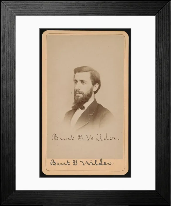 Framed Print : Portrait of Burt Green Wilder (1841-1925), Circa 1870s. Creator: Purdy & Frear Framed Print : Portrait of Burt Green Wilder (1841-1925), Circa 1870s. Creator: Purdy & Frear