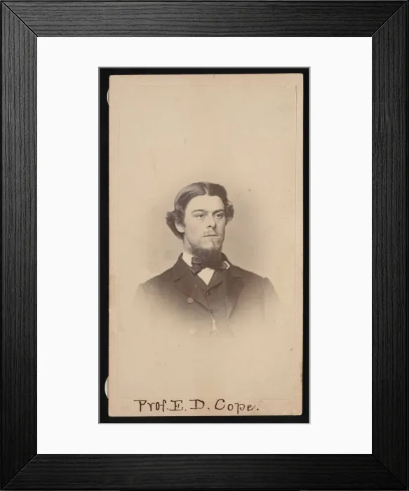 Framed Print : Portrait of Edward Drinker Cope (1840-1897), Circa 1860s. Creator: Unknown Framed Print : Portrait of Edward Drinker Cope (1840-1897), Circa 1860s. Creator: Unknown