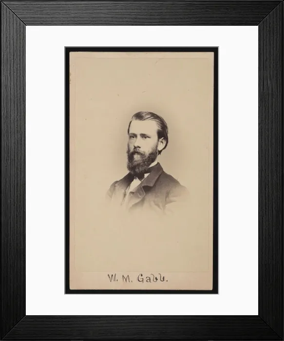 Framed Print : Portrait of William More Gabb (1839-1878), 1864-1865. Creator: Silas Wright Selleck Framed Print : Portrait of William More Gabb (1839-1878), 1864-1865. Creator: Silas Wright Selleck