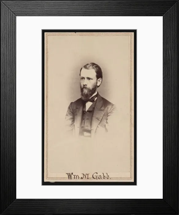 Framed Print : Portrait of William More Gabb (1839-1878), Before 1878. Creator: Unknown Framed Print : Portrait of William More Gabb (1839-1878), Before 1878. Creator: Unknown