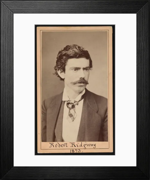 Framed Print : Portrait of Robert Ridgway (1850-1929), April 1873. Creator: Ulke Bros Framed Print : Portrait of Robert Ridgway (1850-1929), April 1873. Creator: Ulke Bros