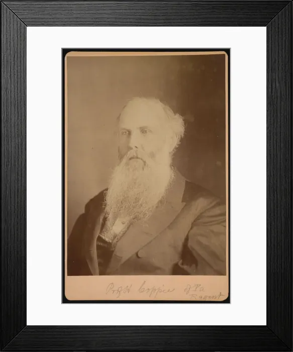 Framed Print : Portrait of Henry Coppee'(1821-1895), 1875. Creator: Unknown Framed Print : Portrait of Henry Coppee'(1821-1895), 1875. Creator: Unknown