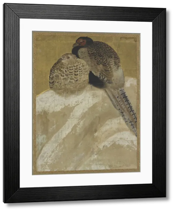Framed Print : Two pheasants on a snow bank, Momoyama period, (18th century?). Creator: Unknown Framed Print : Two pheasants on a snow bank, Momoyama period, (18th century?). Creator: Unknown