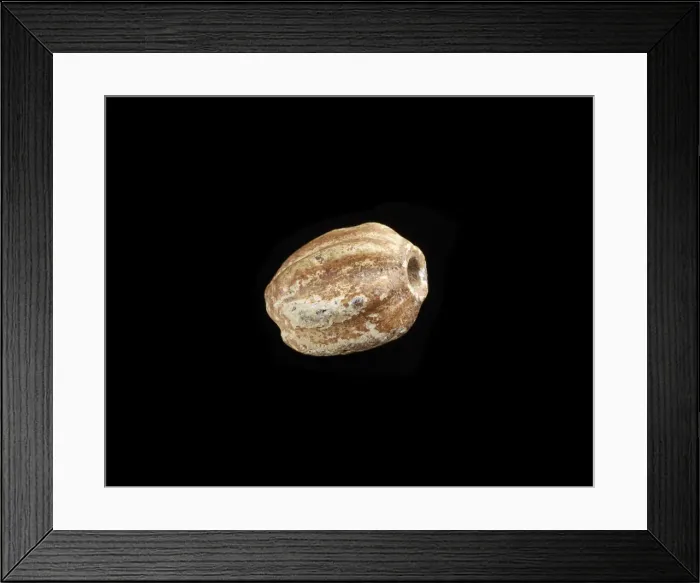 Framed Print : Bead, melon-shaped, New Kingdom, 1550-1196 BCE. Creator: Unknown Framed Print : Bead, melon-shaped, New Kingdom, 1550-1196 BCE. Creator: Unknown