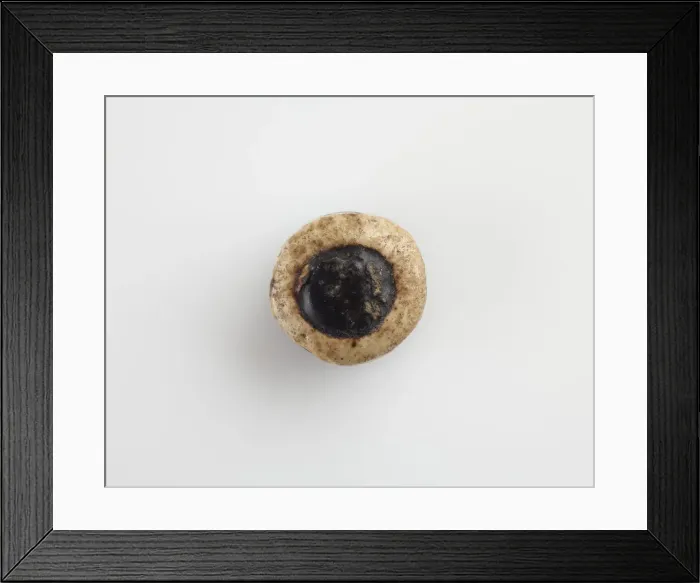 Framed Print : Eye-bead, with a horizontal bore, Possibly Ptolemaic Dynasty, 305-30 BCE Framed Print : Eye-bead, with a horizontal bore, Possibly Ptolemaic Dynasty, 305-30 BCE