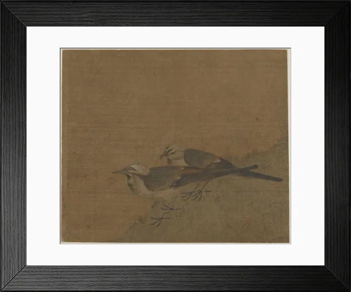 Framed Print : Two pied wagtails, Yuan dynasty, (14th century?). Creator: Unknown Framed Print : Two pied wagtails, Yuan dynasty, (14th century?). Creator: Unknown