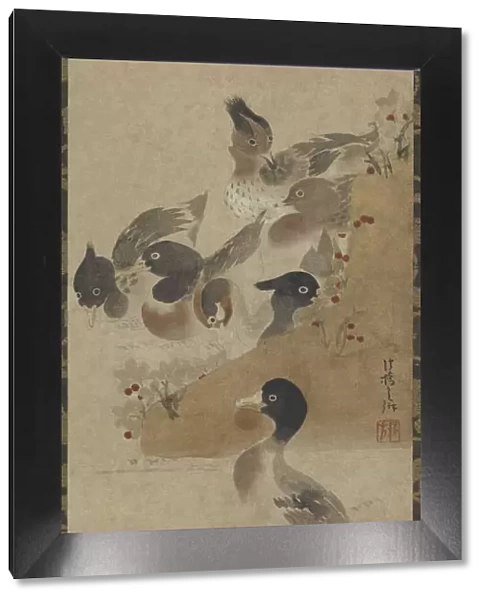 Ducks, Edo period, (18th century?). Creator: Unknown