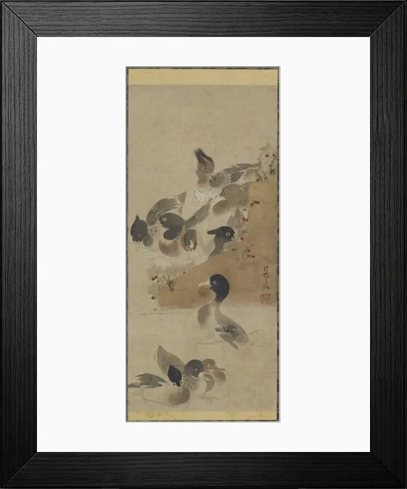 Framed Print : Ducks, Edo period, (18th century?). Creator: Unknown Framed Print : Ducks, Edo period, (18th century?). Creator: Unknown