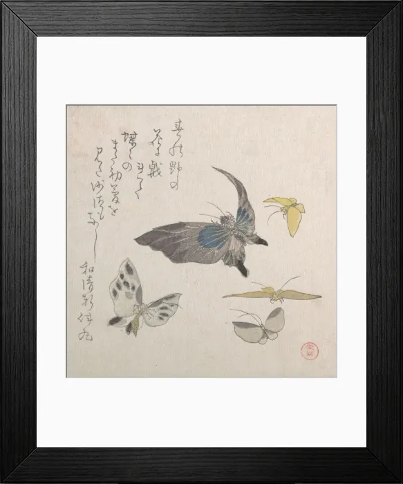 Framed Print : Butterflies, 19th century. Creator: Kubo Shunman Framed Print : Butterflies, 19th century. Creator: Kubo Shunman