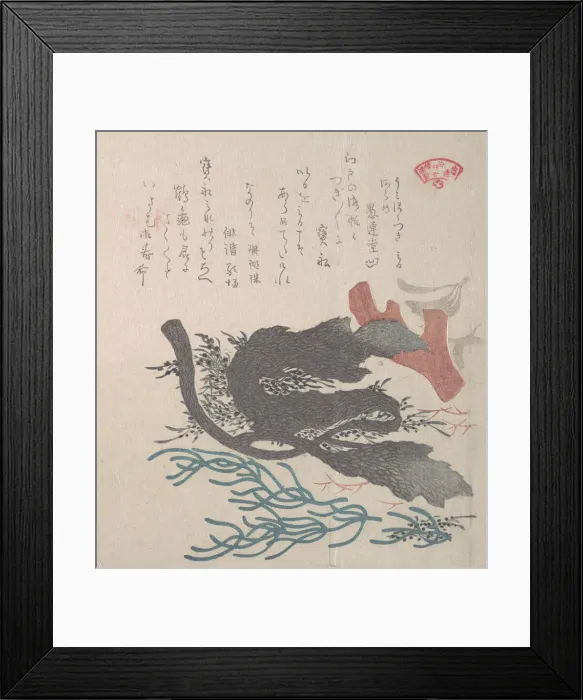 Framed Print : Various Seaweed, 19th century. Creator: Kubo Shunman Framed Print : Various Seaweed, 19th century. Creator: Kubo Shunman