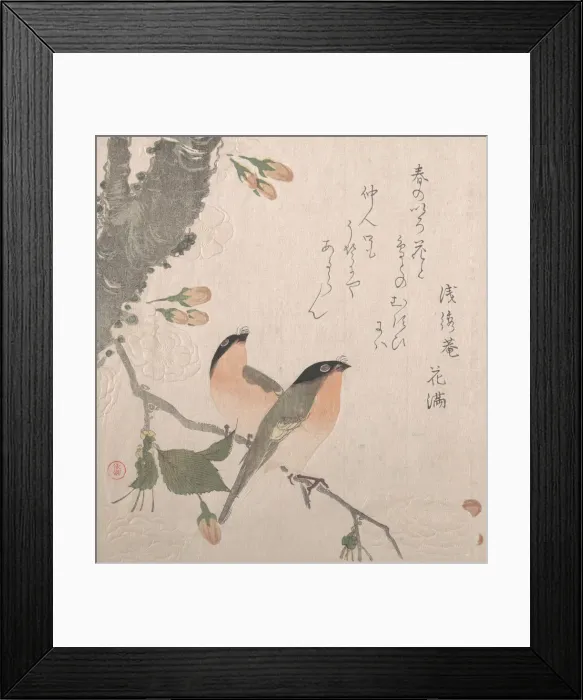 Framed Print : Bullfinches and Cherry Blossoms, 19th century. Creator: Kubo Shunman Framed Print : Bullfinches and Cherry Blossoms, 19th century. Creator: Kubo Shunman