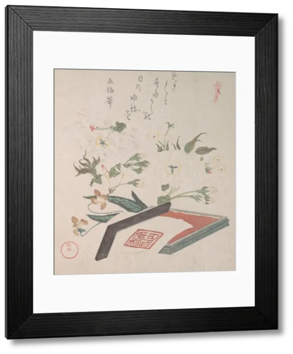 Framed Print : Cherry Blossoms and Seal-box with Ink and Ruler, 19th century. Creator: Kubo Shunman Framed Print : Cherry Blossoms and Seal-box with Ink and Ruler, 19th century. Creator: Kubo Shunman