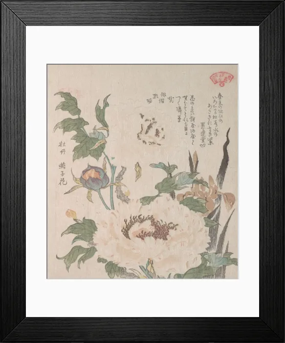Framed Print : Peonies and Iris, 19th century. Creator: Kubo Shunman Framed Print : Peonies and Iris, 19th century. Creator: Kubo Shunman