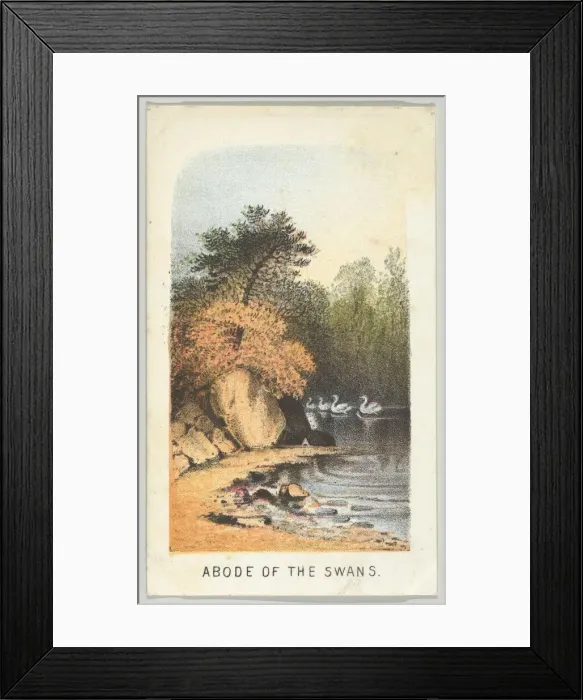 Framed Print : Abode of the Swans, from the series, Views in Central Park, New York, Part 2, 1864 Framed Print : Abode of the Swans, from the series, Views in Central Park, New York, Part 2, 1864