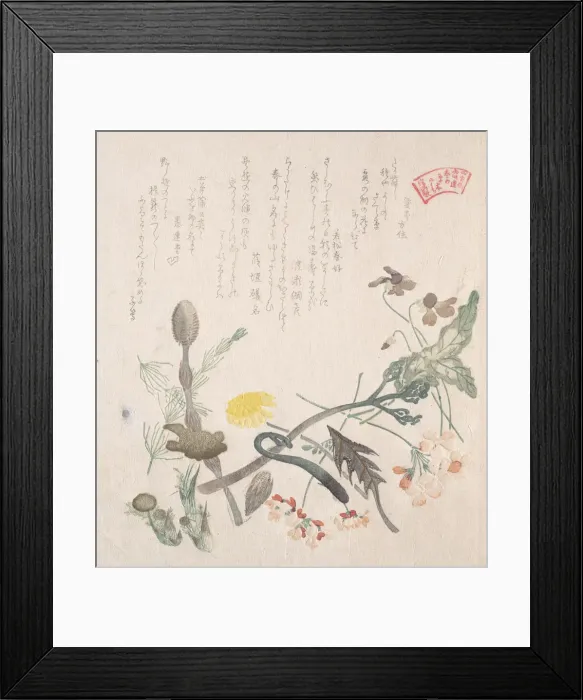 Framed Print : Violets, Primroses and Other Spring Flowers, 19th century. Creator: Kubo Shunman Framed Print : Violets, Primroses and Other Spring Flowers, 19th century. Creator: Kubo Shunman