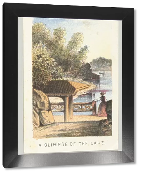 A Glimpse of the Lake, from the series, Views in Central Park, New York, Part 2, 1864