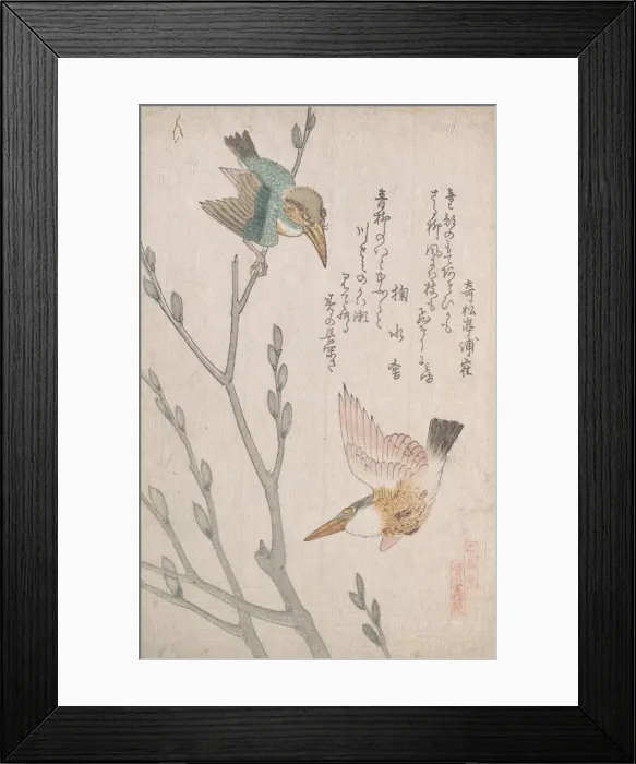 Framed Print : Kingfishers and Pussy-willow, 19th century. Creator: Kubo Shunman Framed Print : Kingfishers and Pussy-willow, 19th century. Creator: Kubo Shunman