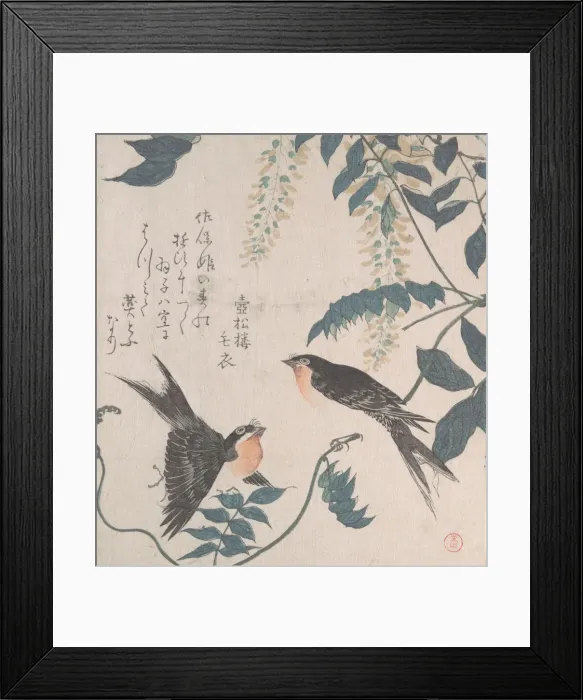 Framed Print : Swallows and Wisteria, 19th century. Creator: Kubo Shunman Framed Print : Swallows and Wisteria, 19th century. Creator: Kubo Shunman