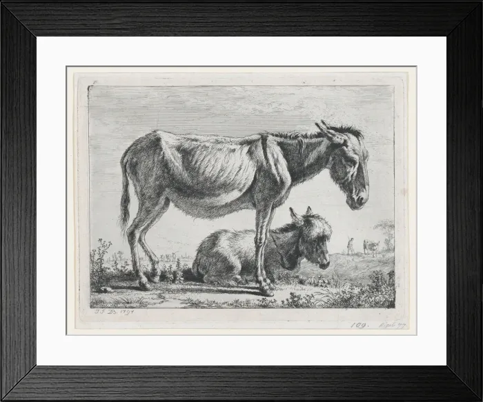 Framed Print : Jenny with its Foal, 1797. Creator: Jean-Jacques de Boissieu Framed Print : Jenny with its Foal, 1797. Creator: Jean-Jacques de Boissieu