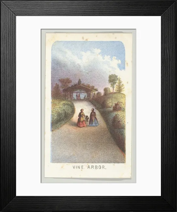 Framed Print : Vine Arbor, from the series, Views in Central Park, New York, Part 3, 1864 Framed Print : Vine Arbor, from the series, Views in Central Park, New York, Part 3, 1864