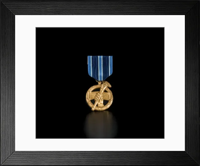 Framed Print : NASA Outstanding Leadership Medal awarded to Sally Ride, 1987. Creator: Unknown Framed Print : NASA Outstanding Leadership Medal awarded to Sally Ride, 1987. Creator: Unknown