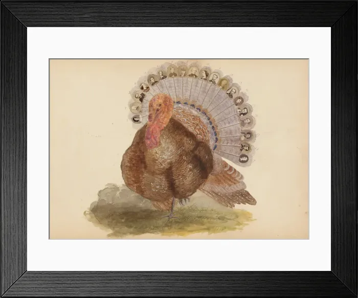 Framed Print : The Madame B Album, 1870s. Creator: Marie Blanche Hennelle Fournier Framed Print : The Madame B Album, 1870s. Creator: Marie Blanche Hennelle Fournier