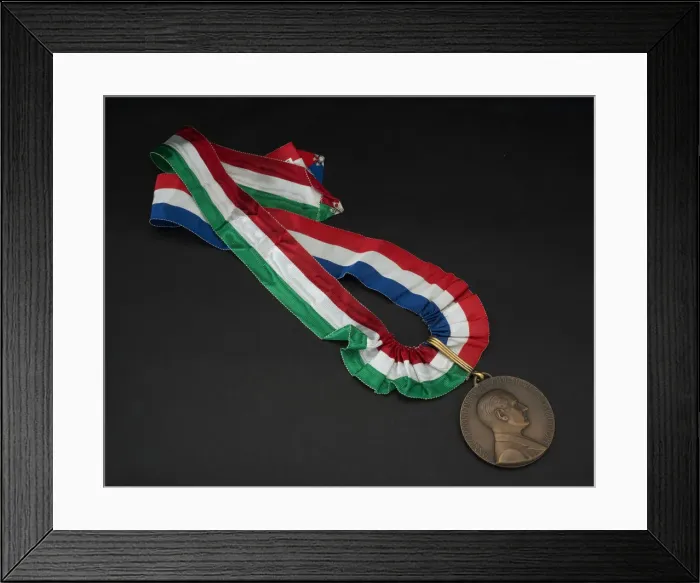 Framed Print : Caproni 33 commemorative medal, ca. 1968. Creator: Unknown Framed Print : Caproni 33 commemorative medal, ca. 1968. Creator: Unknown