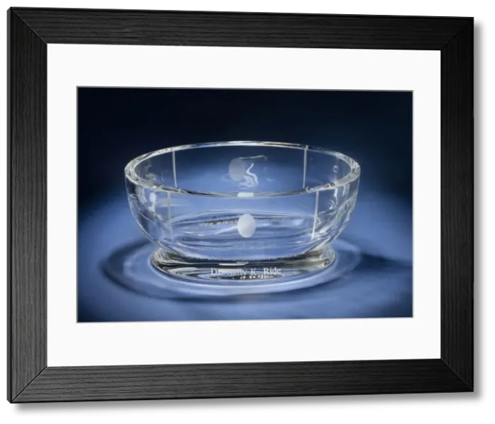 Framed Print : Shapiro Award presented to Sally Ride, 2004. Creator: Baccarat Framed Print : Shapiro Award presented to Sally Ride, 2004. Creator: Baccarat