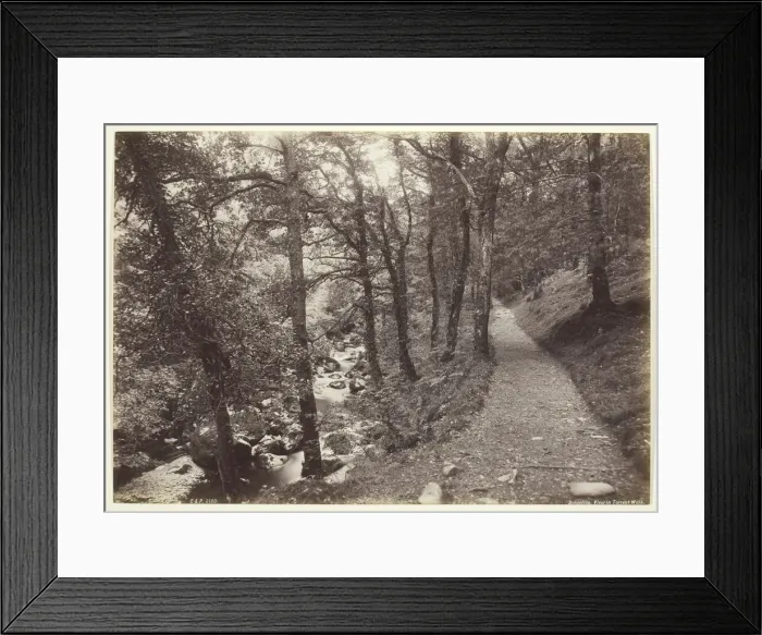 Framed Print : Dolgelley, View in Torrent Walk, 1860 / 94. Creator: Francis Bedford Framed Print : Dolgelley, View in Torrent Walk, 1860 / 94. Creator: Francis Bedford