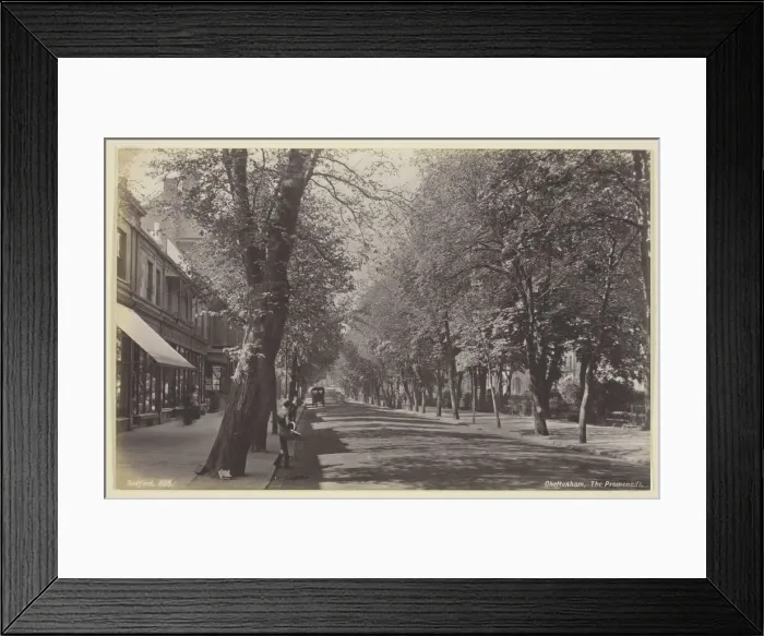 Framed Print : Cheltenham, the Promenade, 1860 / 94. Creator: Francis Bedford Framed Print : Cheltenham, the Promenade, 1860 / 94. Creator: Francis Bedford