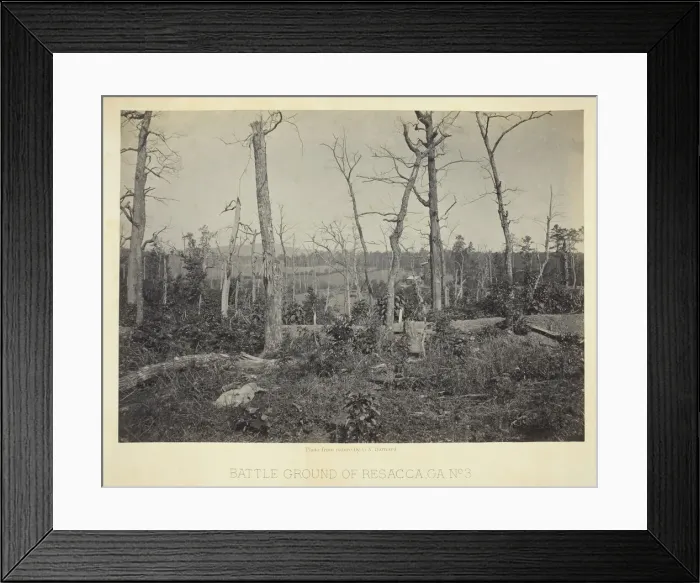 Framed Print : Battle Ground of Resacca, GA, No. 3, 1866. Creator: George N. Barnard Framed Print : Battle Ground of Resacca, GA, No. 3, 1866. Creator: George N. Barnard