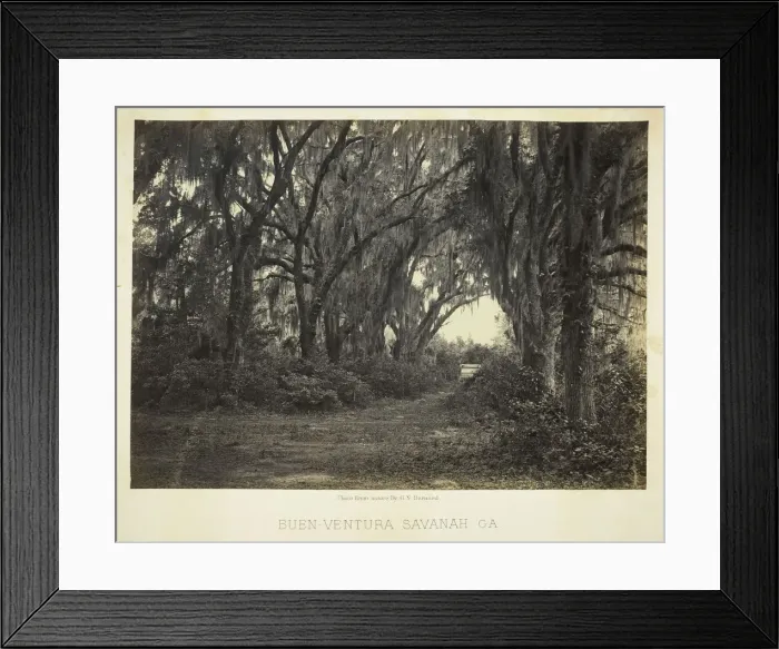 Framed Print : Buen-Ventura Savannah, Ga. 1866. Creator: George N. Barnard Framed Print : Buen-Ventura Savannah, Ga. 1866. Creator: George N. Barnard