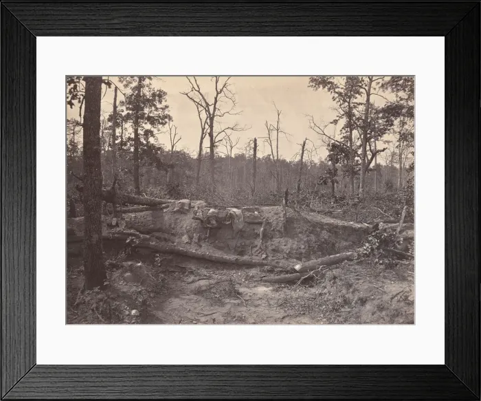 Framed Print : Battle Field of New Hope Church, GA, No. 2, 1866. Creator: George N. Barnard