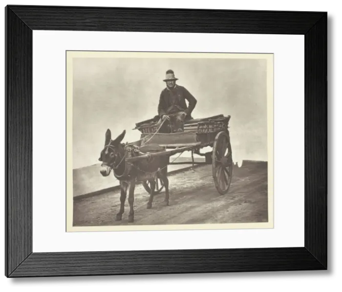 Framed Print : Black Jack, 1881. Creator: John Thomson Framed Print : Black Jack, 1881. Creator: John Thomson