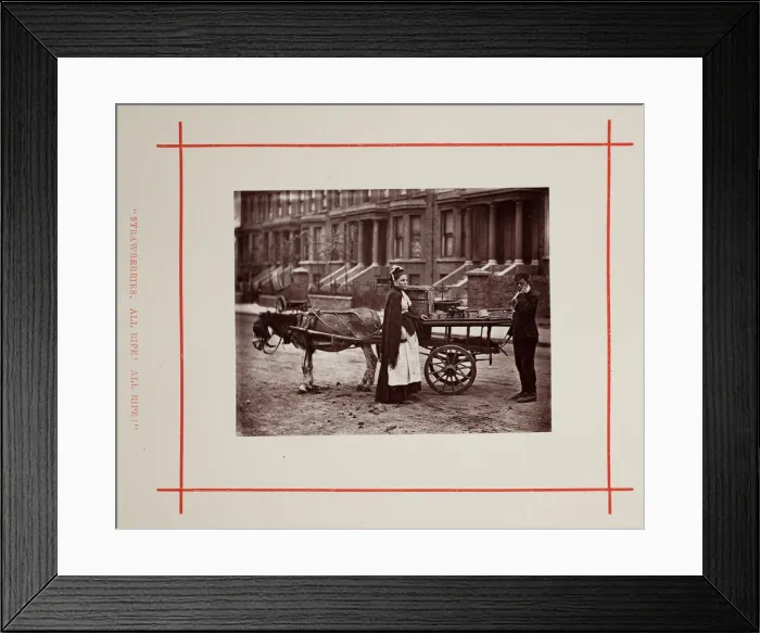 Framed Print : Strawberries. All ripe! All ripe!, 1877. Creator: John Thomson Framed Print : Strawberries. All ripe! All ripe!, 1877. Creator: John Thomson