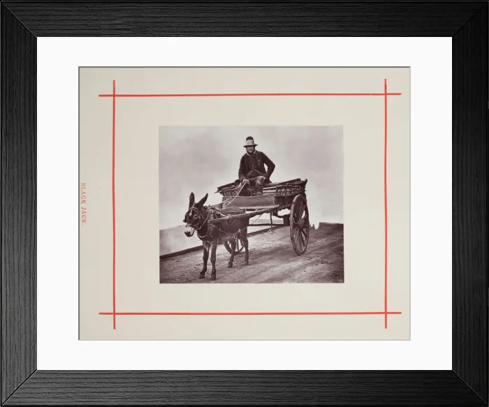 Framed Print : Black Jack, 1877. Creator: John Thomson Framed Print : Black Jack, 1877. Creator: John Thomson