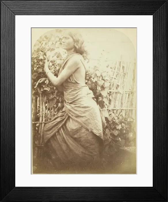 Framed Print : Woman, Ceylon, 1875 / 79. Creator: Julia Margaret Cameron Framed Print : Woman, Ceylon, 1875 / 79. Creator: Julia Margaret Cameron